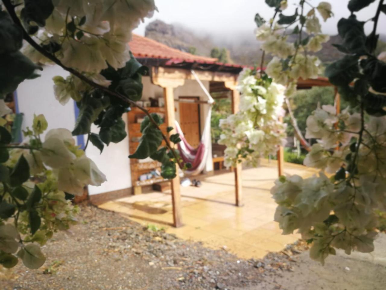 בית הארחה Fátaga 	Ecotara Canary Islands מראה חיצוני תמונה