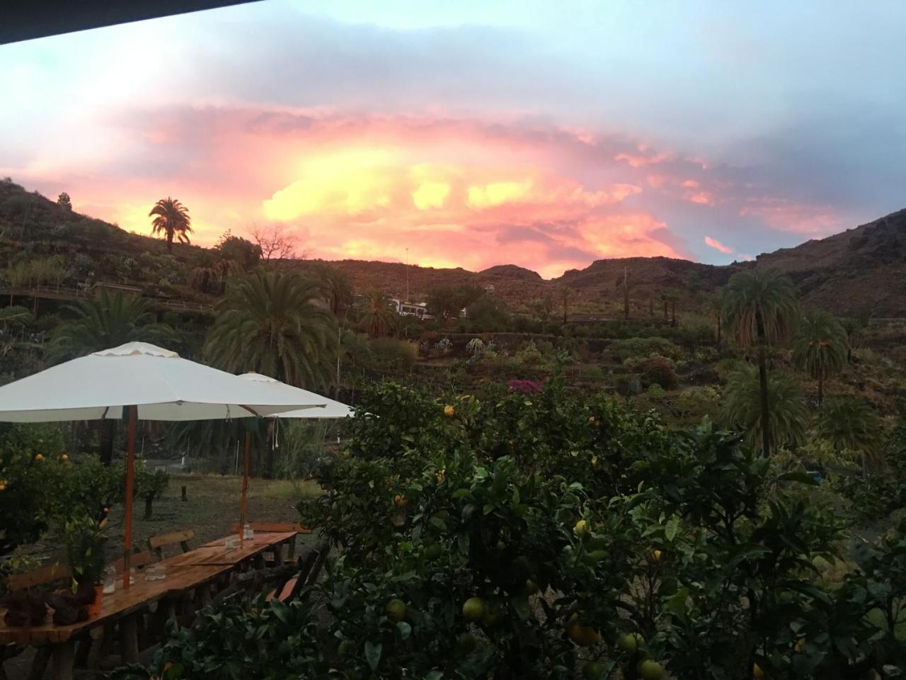 בית הארחה Fátaga 	Ecotara Canary Islands מראה חיצוני תמונה