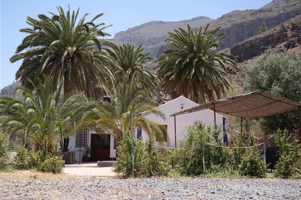 בית הארחה Fátaga 	Ecotara Canary Islands מראה חיצוני תמונה